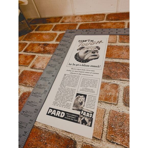 1941 Bulldog Tough but Delicate Stomach Pard Dog‎ Food Vintage Print Ad - Picture 6 of 9